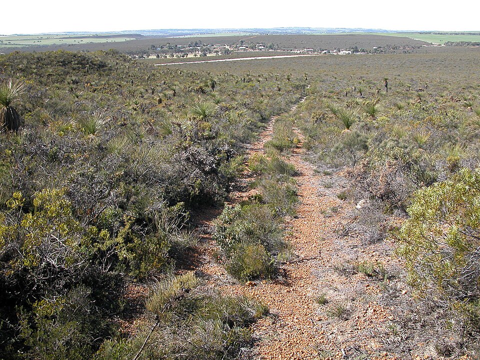 Badgingarra National Park（Australia）