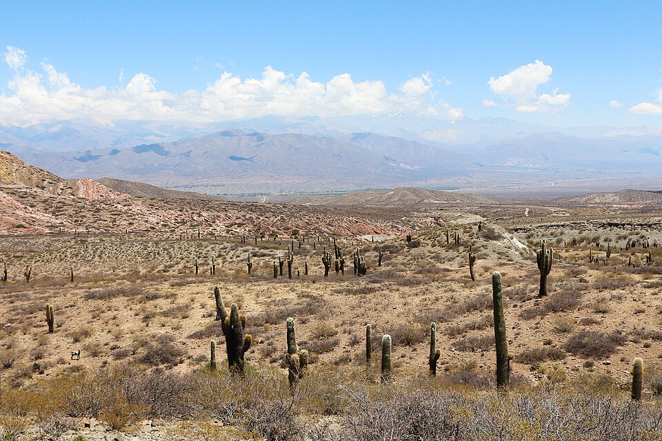 Los Cardones National Park（Argentina）