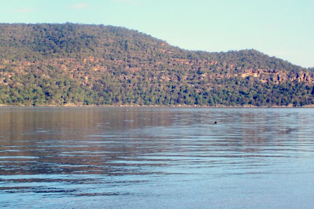 Brisbane Water National Park（Australia）