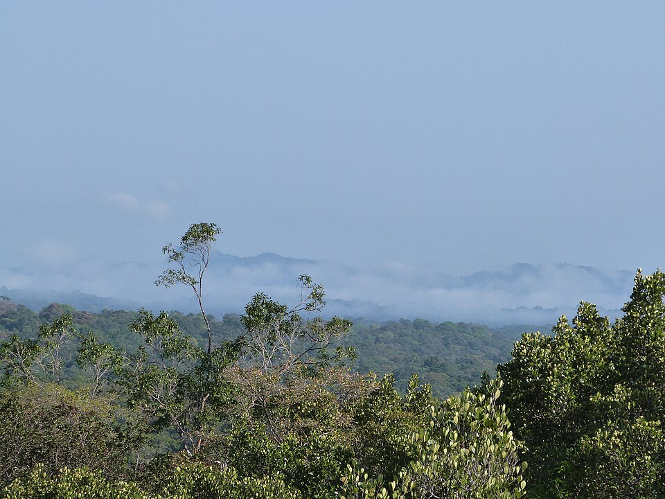 Guiana Amazonian Park（France）