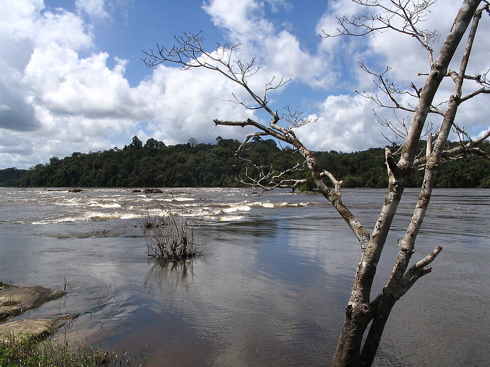 Tumucumaque National Park（Brazil）