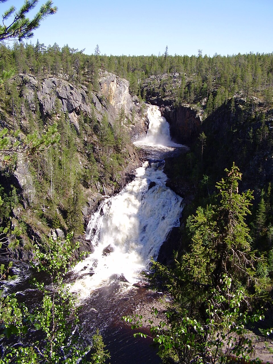 Muddus National Park（Sweden）