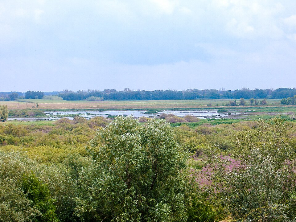 Kiskunság National Park（Hungary）