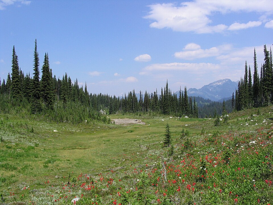 Mount Revelstoke National Park（Canada）