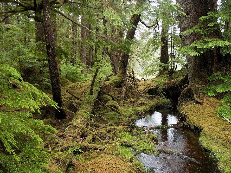 Gwaii Haanas National Park Reserve and Haida Heritage Site（Canada）
