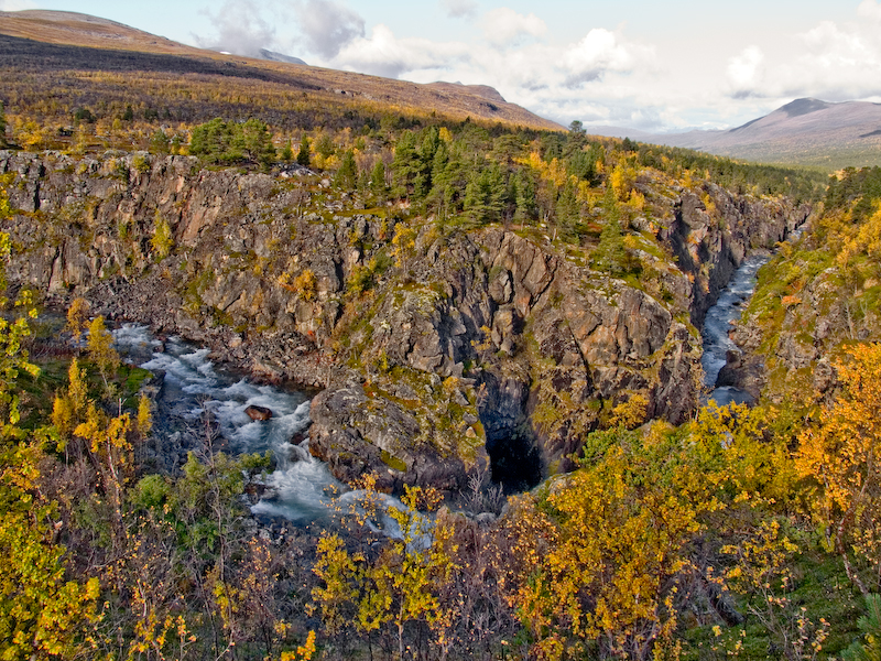 Øvre Dividal National Park（Norway）