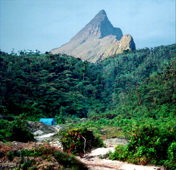 Pico da Neblina National Park（Brazil）