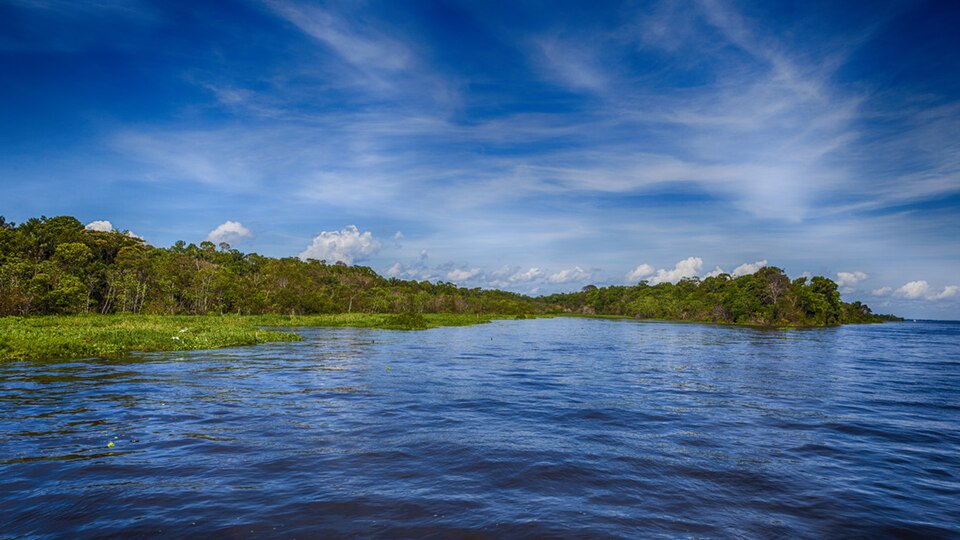 Amazônia National Park（Brazil）