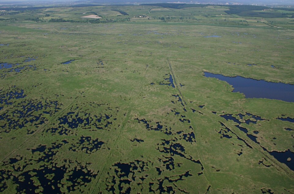 Fertő-Hanság National Park（Hungary）