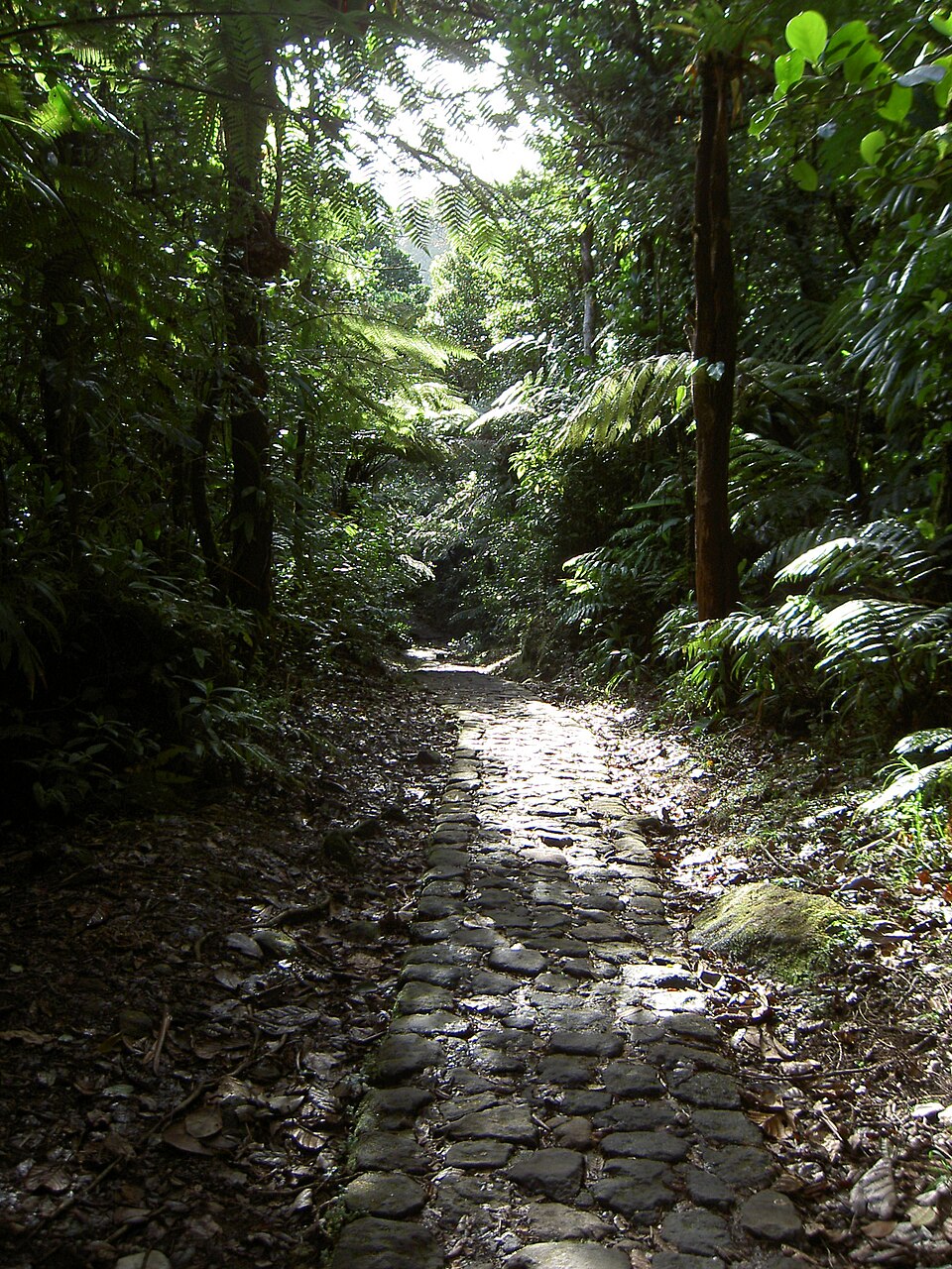 Guadeloupe National Park（France）