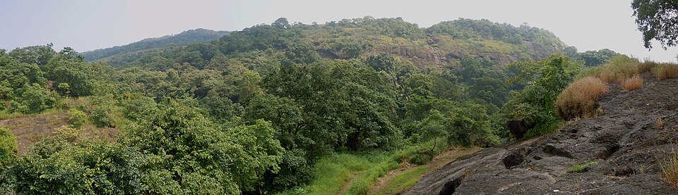 Sanjay Gandhi National Park（India）
