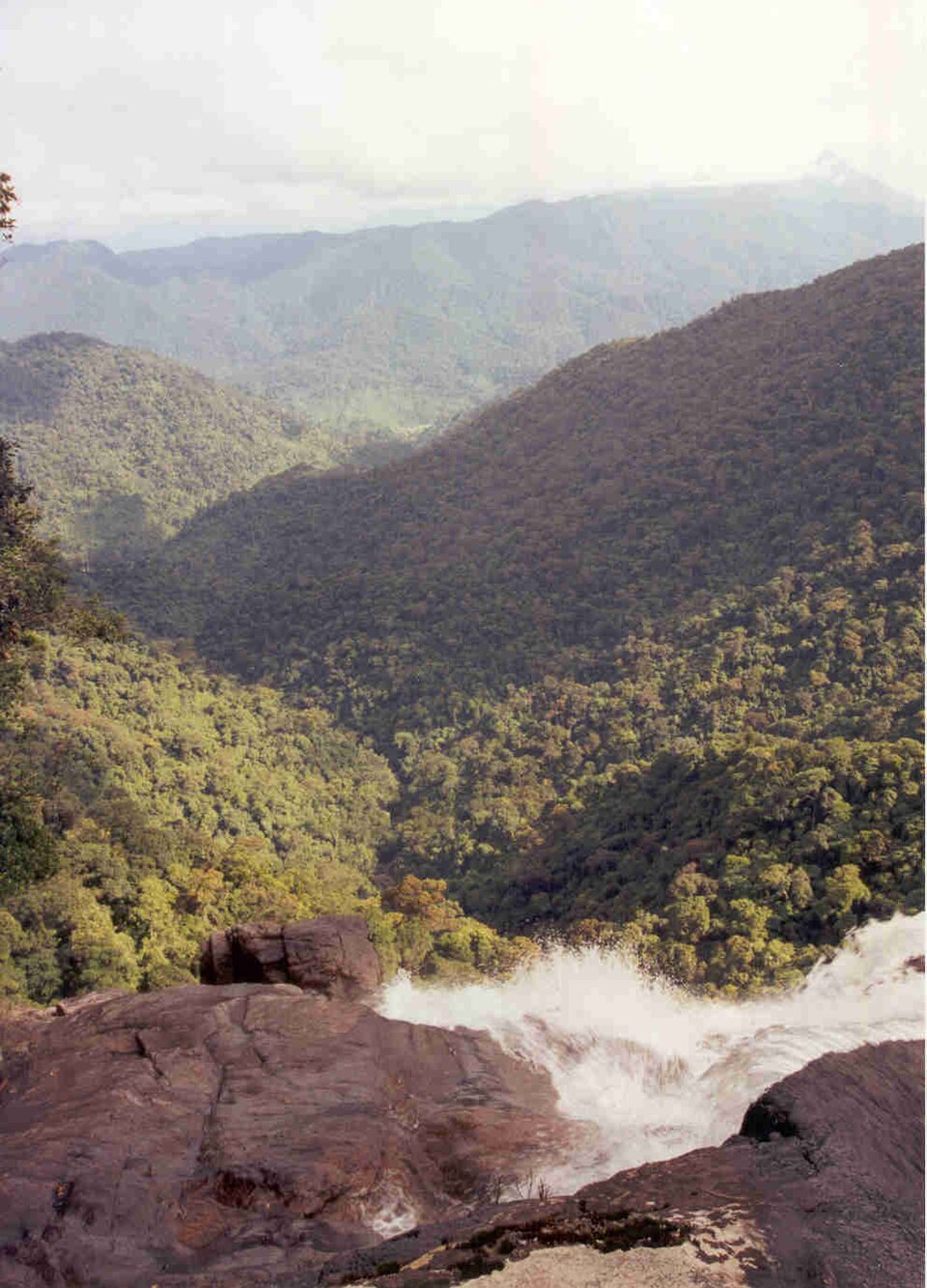 Bach Ma National Park（Vietnam）