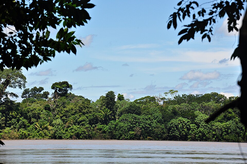 Mapinguari National Park（Brazil）