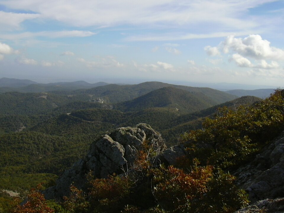 Dadia-Lefkimi-Soufli Forest National Park（Greece）