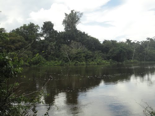 Jamanxim National Park（Brazil）