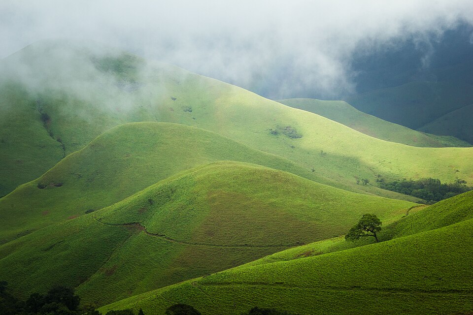 Kudremukh National Park（India）