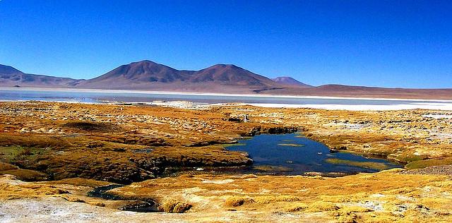 Salar del Huasco National Park（Chile）