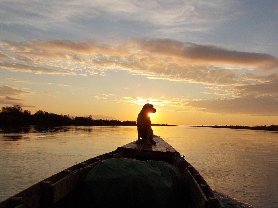 Evros Delta National Park（Greece）
