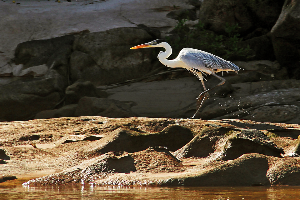 Araguaia National Park（Brazil）