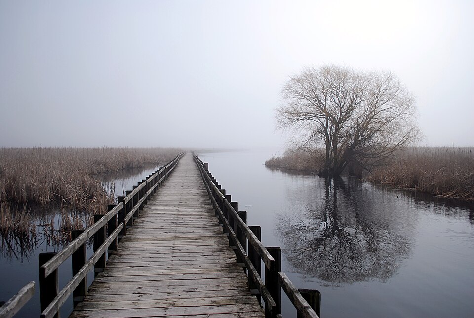 Point Pelee National Park（Canada）