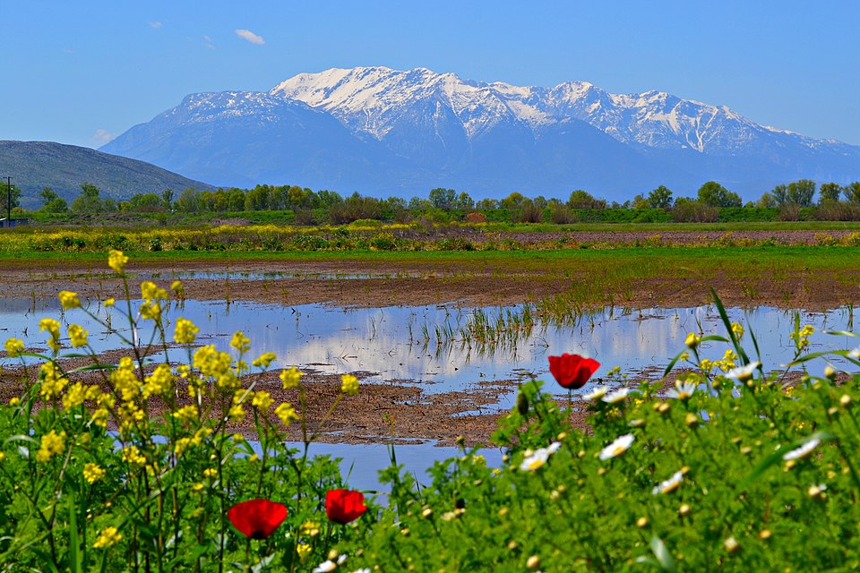 Parnassos National Park（Greece）