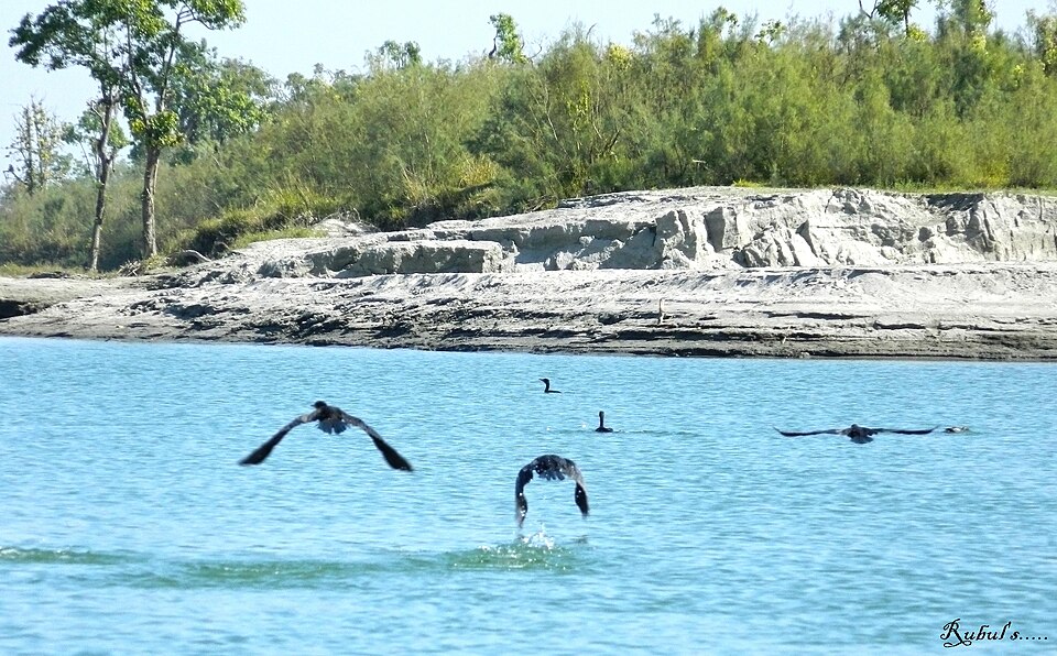 Dibru-Saikhowa National Park（India）