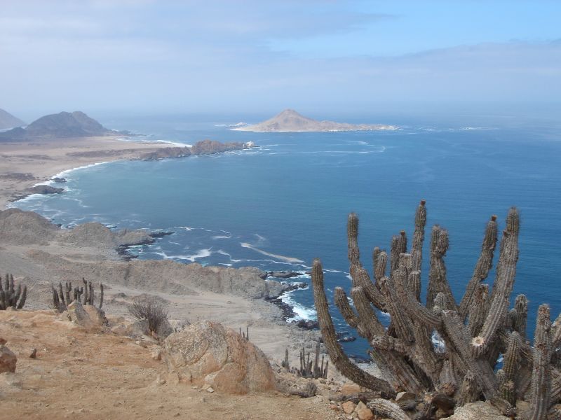 Pan de Azúcar National Park（Chile）