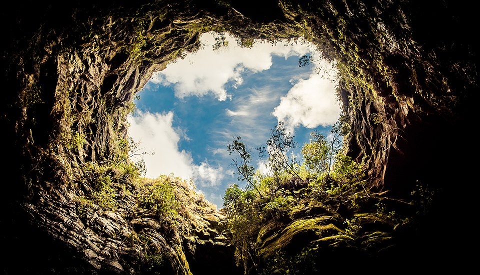 Campos Gerais National Park（Brazil）