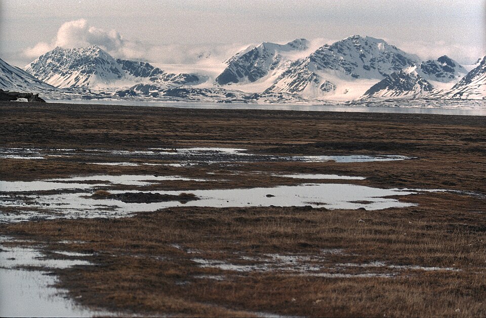 Nordenskiöld Land National Park（Norway）