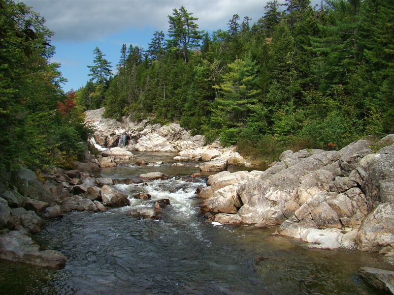 Fundy National Park（Canada）