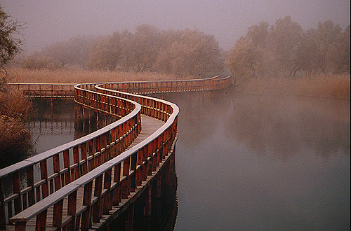 Tablas de Daimiel National Park（Spain）