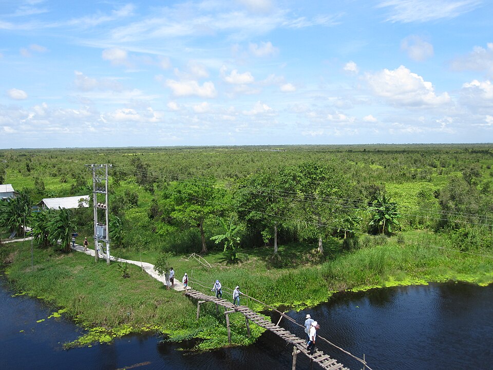 U Minh Thuong National Park（Vietnam）