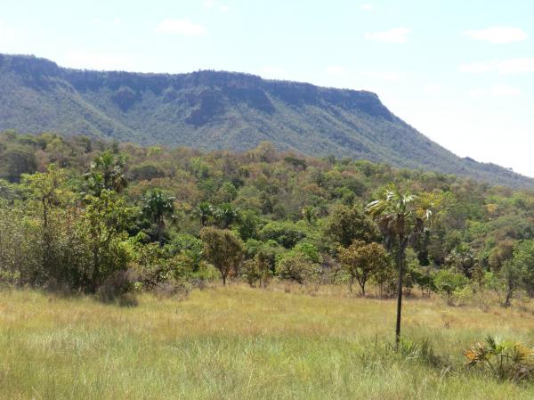 Nascentes do Rio Parnaíba National Park（Brazil）