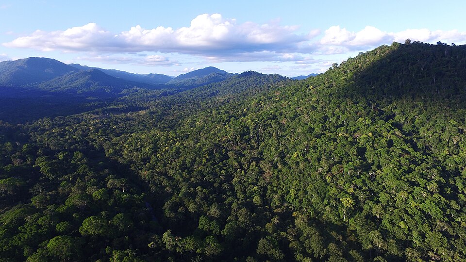 Pau Brasil National Park（Brazil）