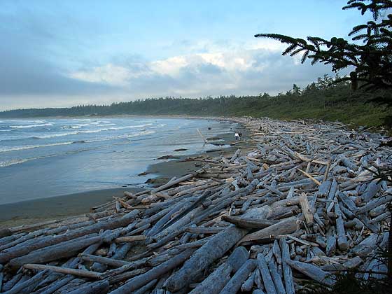Pacific Rim National Park Reserve（Canada）