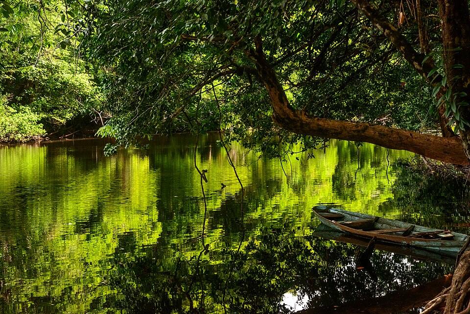 Cabo Orange National Park（Brazil）