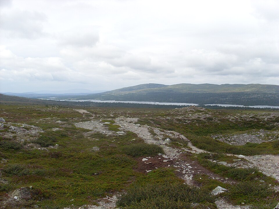 Töfsingdalen National Park（Sweden）
