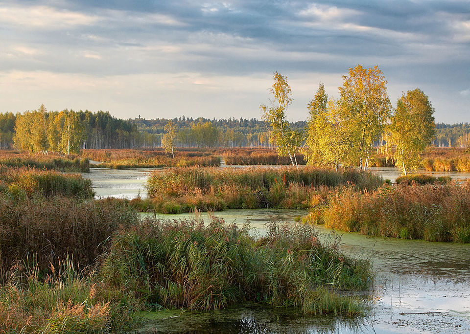 Losiny Ostrov National Park（Russia）