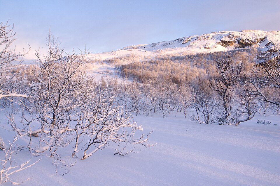 Femundsmarka National Park（Norway）