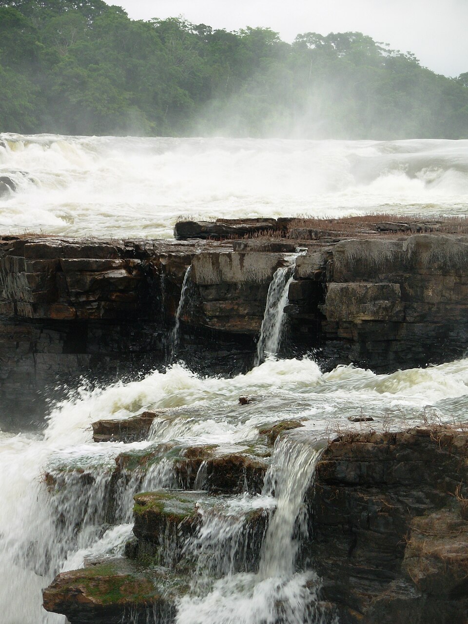 Juruena National Park（Brazil）