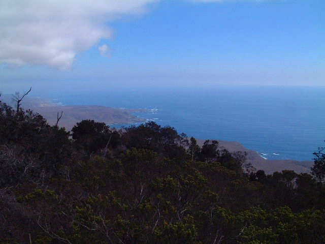 Bosque Fray Jorge National Park（Chile）