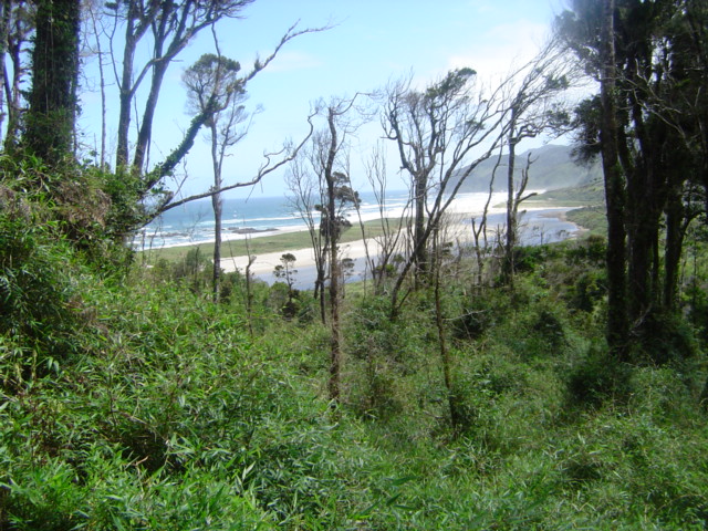 Chiloé National Park（Chile）