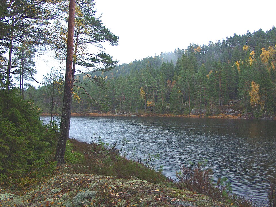 Tresticklan National Park（Sweden）