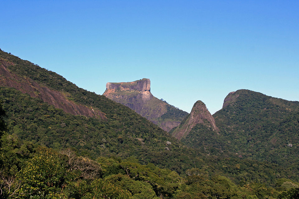 Tijuca National Park（Brazil）