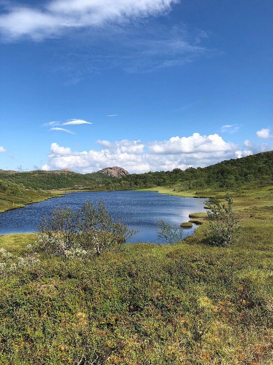 Lierne National Park（Norway）