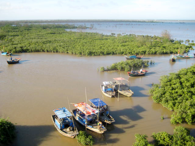 Xuan Thuy National Park（Vietnam）