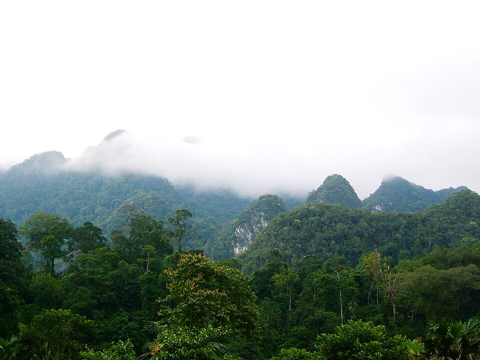 Xuan Son National Park（Vietnam）