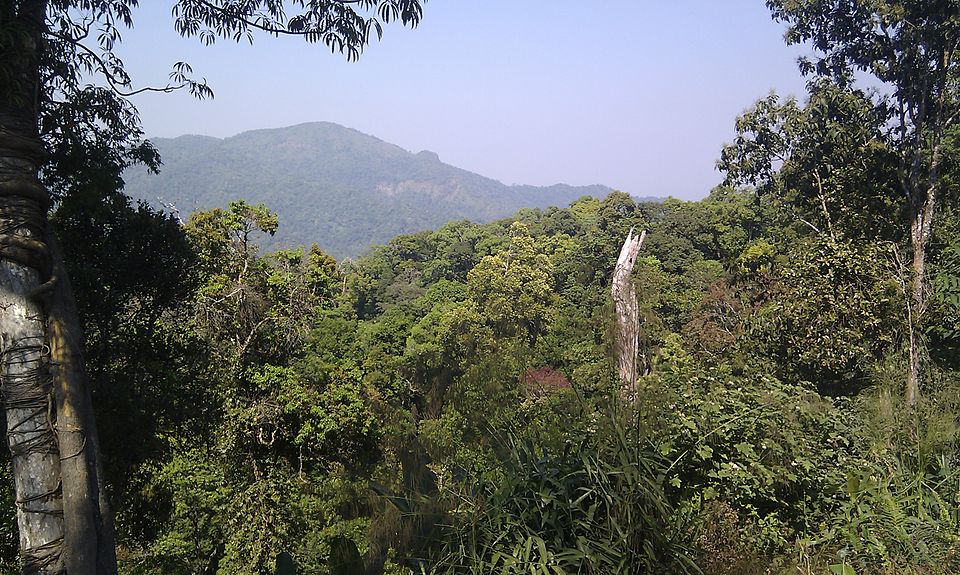 Kaeng Krachan Forest Complex（Thailand）