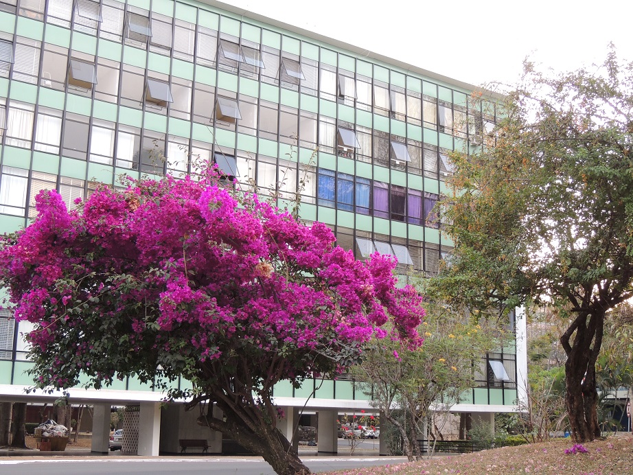neighborhood unit 107/307 and 108/308 South（Brazil）