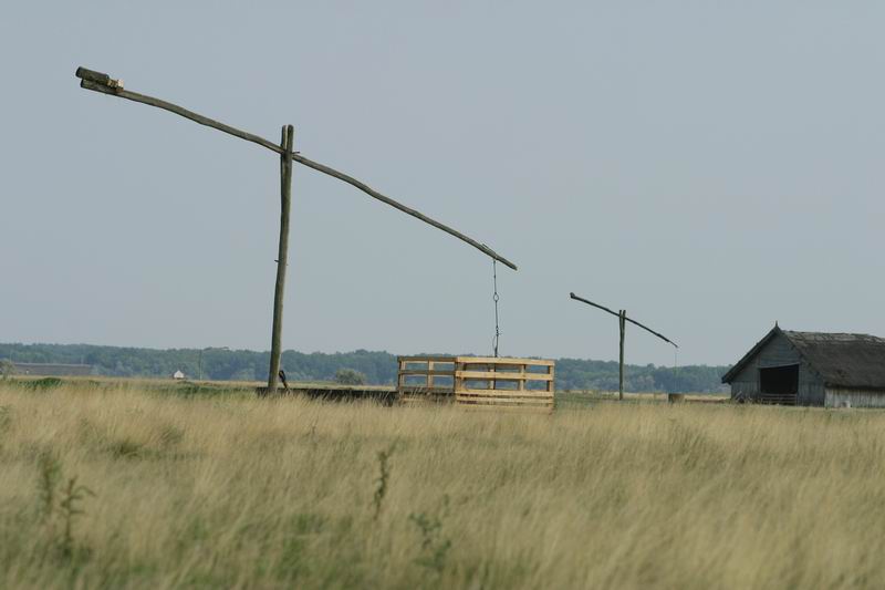 Hortobágy National Park（Hungary）